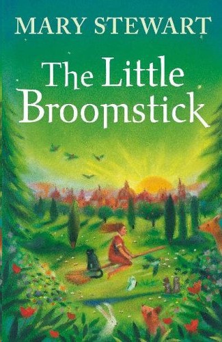 Little Broomstick