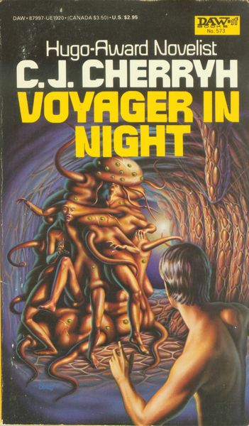 Voyager in Night