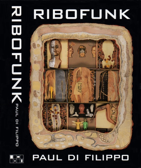 Ribofunk