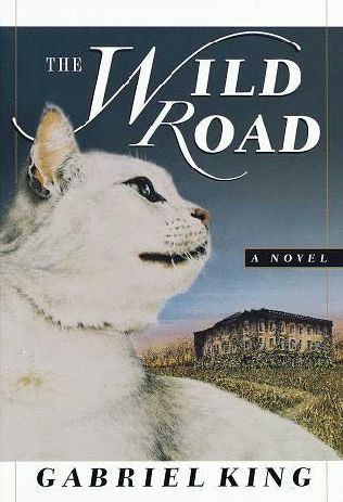 The Wild Road