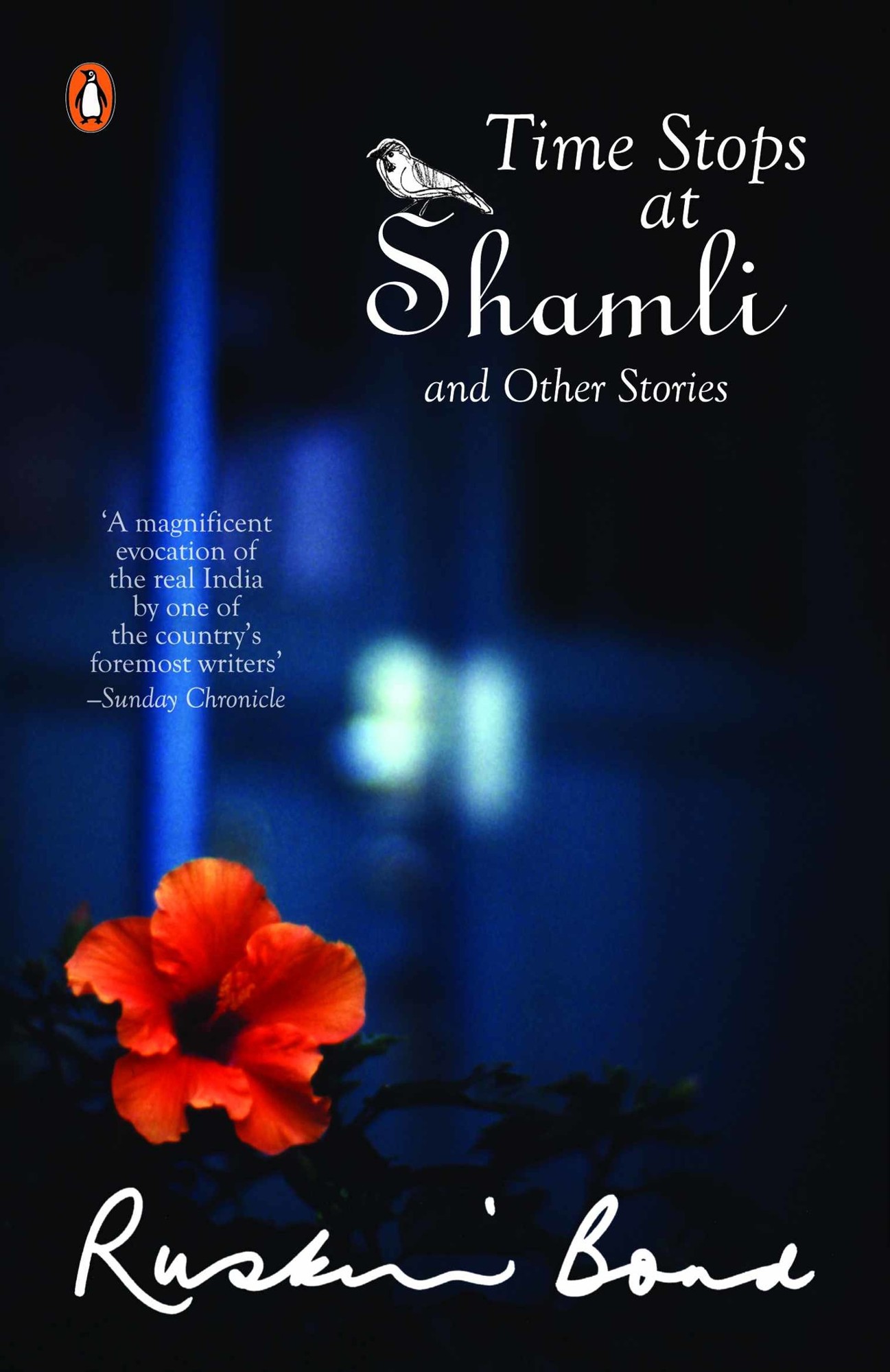 Time Stops at Shamli & Other Stories