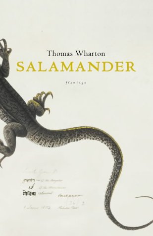 Salamander