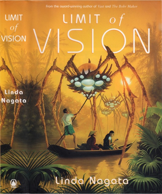 Limit of Vision