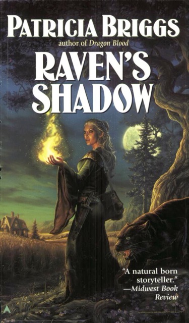 Raven's Shadow