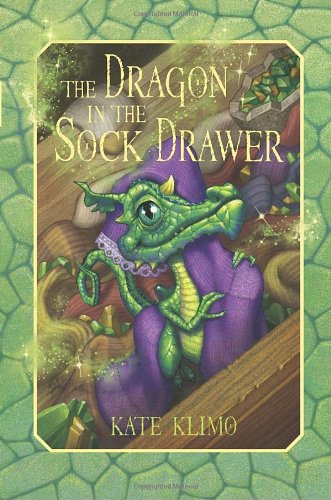 The Dragon in the Sock Drawer