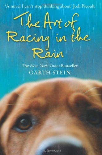 The Art of Racing in the Rain